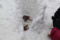 WhatsApp-Image-2026-01-30-at-18.29.22