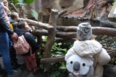 KODAK Digital Still Camera