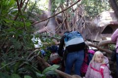 KODAK Digital Still Camera