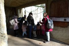 KODAK Digital Still Camera