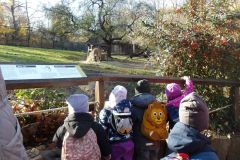 KODAK Digital Still Camera