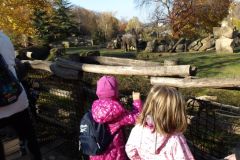 KODAK Digital Still Camera