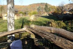 KODAK Digital Still Camera