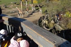 KODAK Digital Still Camera