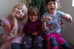 KODAK Digital Still Camera