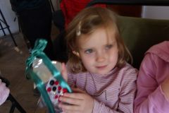 KODAK Digital Still Camera