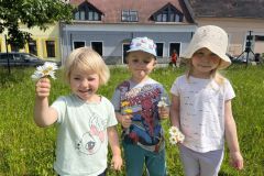 IMG_2015