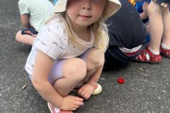IMG_2020