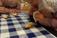 KODAK Digital Still Camera