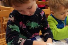 KODAK Digital Still Camera